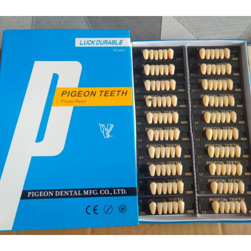 Jual Gigi Palsu anterior (depan) Pigeon 1box gigi tiruan / resin teeth