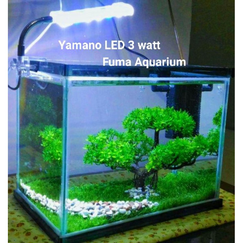 Jual Lampu Jepit YAMANO LED 3watt Aquarium Aquascape Clip Crystal Putih ...