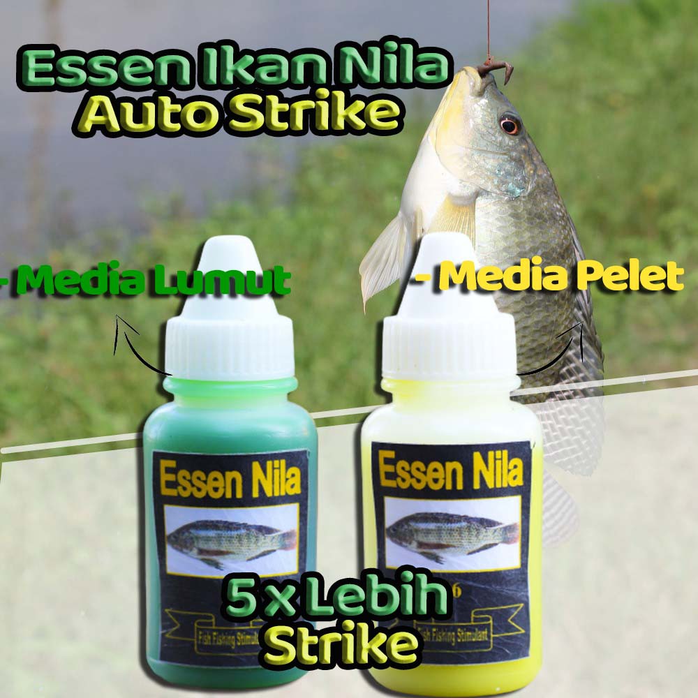 Essen BFS LORENA Ikan mas ,Essen Produk Berto Umpan ( Mancing 007 )