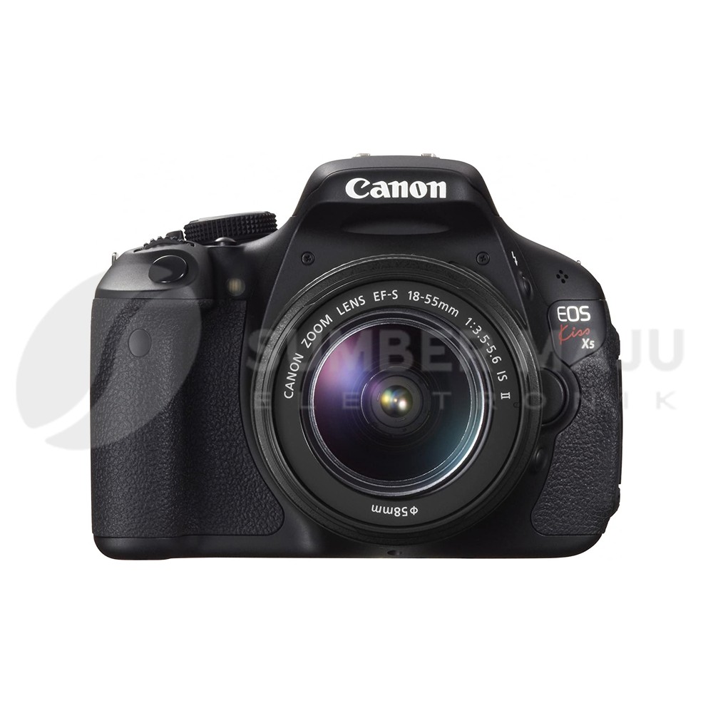 Canon EOS Kiss X5（初めての一眼レフ！EOS Kiss X5レビュー