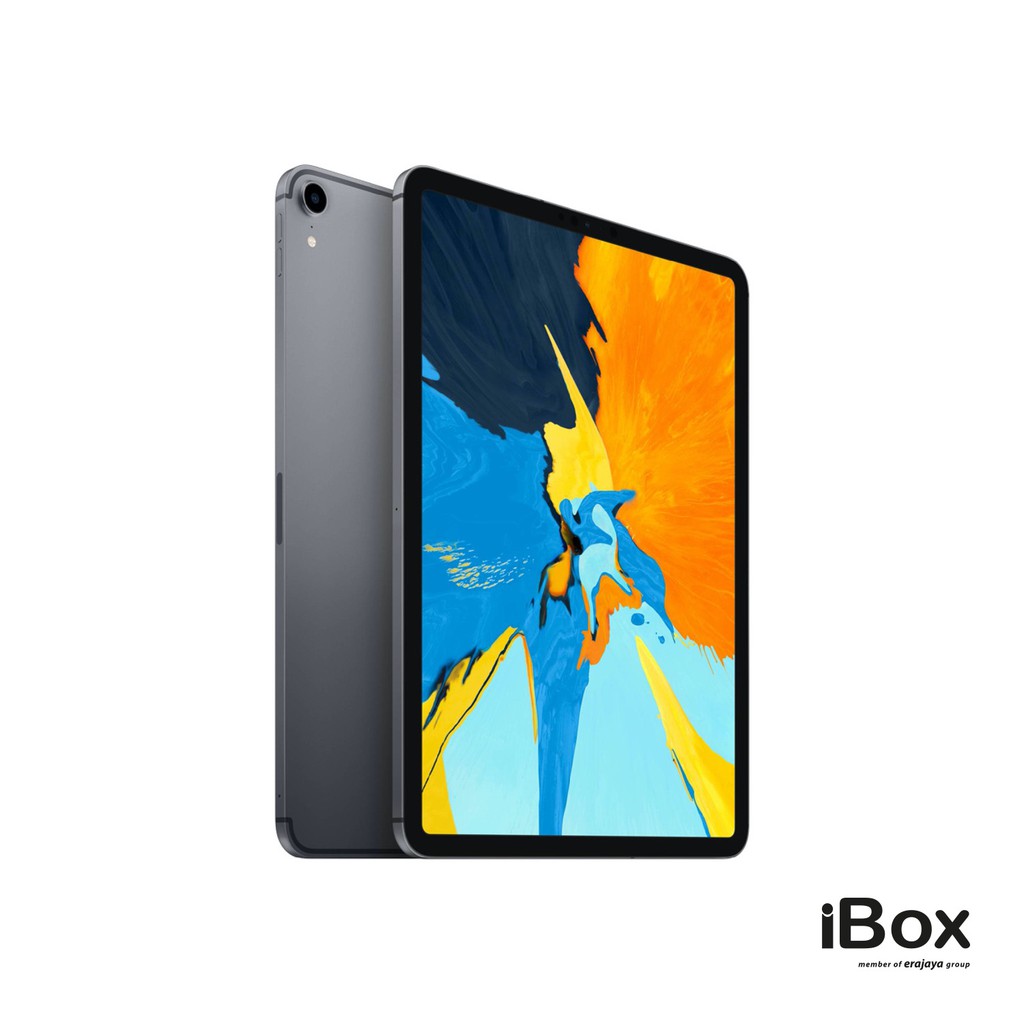 iPad Pro 10.5 本体 256GB ブラック 第1世代 iPad Pro 10.5 本体 256GB