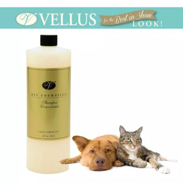 Jual Vellus Shampoo Concentrate 32 oz Shopee Indonesia
