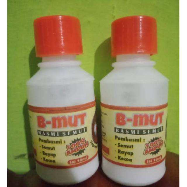 Jual Racun Semut B-mut (biang) | Shopee Indonesia