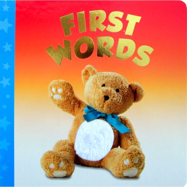 Jual First Words Board Book (with touch & feel texture on front cover ...
