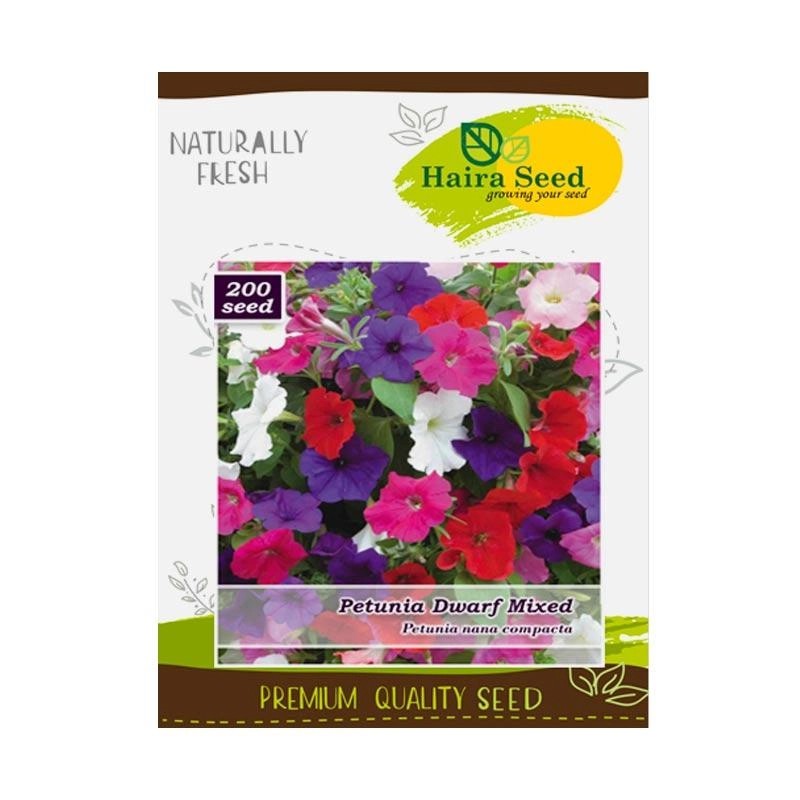 Jual Bibit Benih Bunga Petunia Dwarf Mix Haira Seed Shopee Indonesia