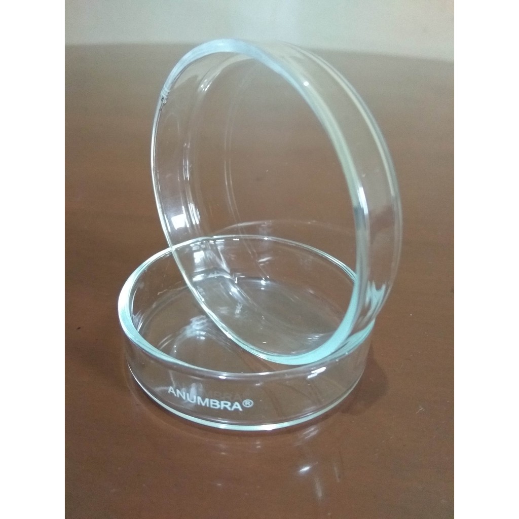 NeoLab Lot De 5 Boîtes De Petri En Verre Borosilicate – Diamètre 120 Mm, Hauteur 20 Mm, Transparent Avec Couvercle