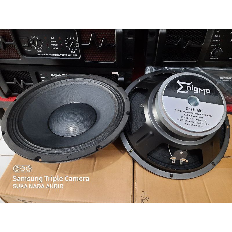 Speaker enigma hot sale 12 inch