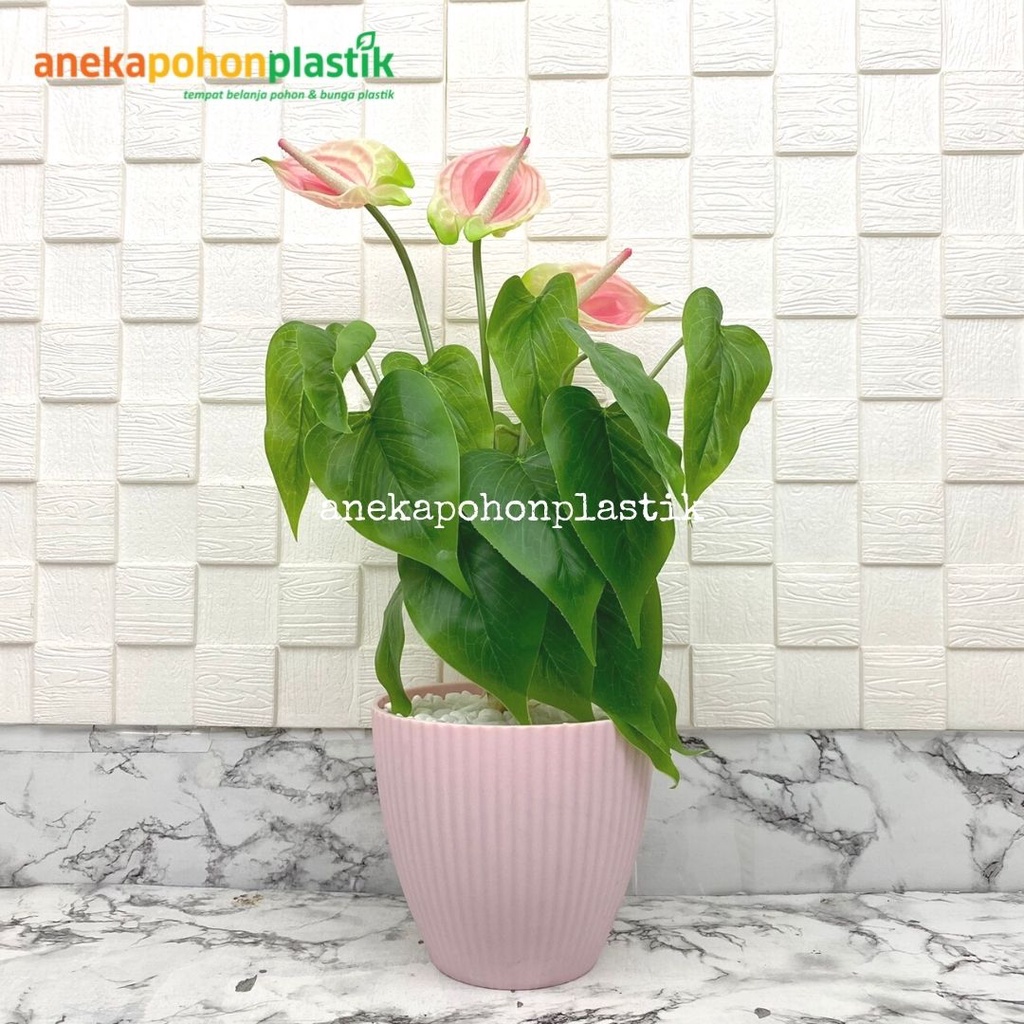 Jual Tanaman Hias Bunga Anthurium X3 Putih Late Artificial Pot Pastel ...