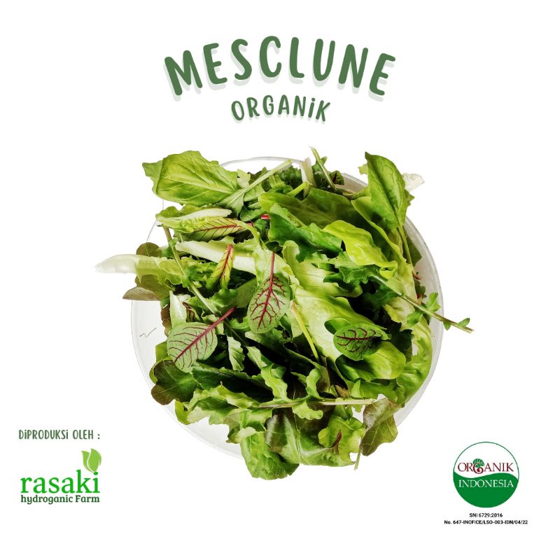 Jual sayur segar mesclune mesclun salad rasaki 200gr | Shopee Indonesia