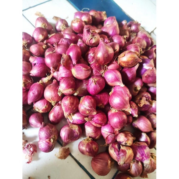 Jual Brambang Lokal Bawang Merah Super Kemasan 1kg Shopee Indonesia