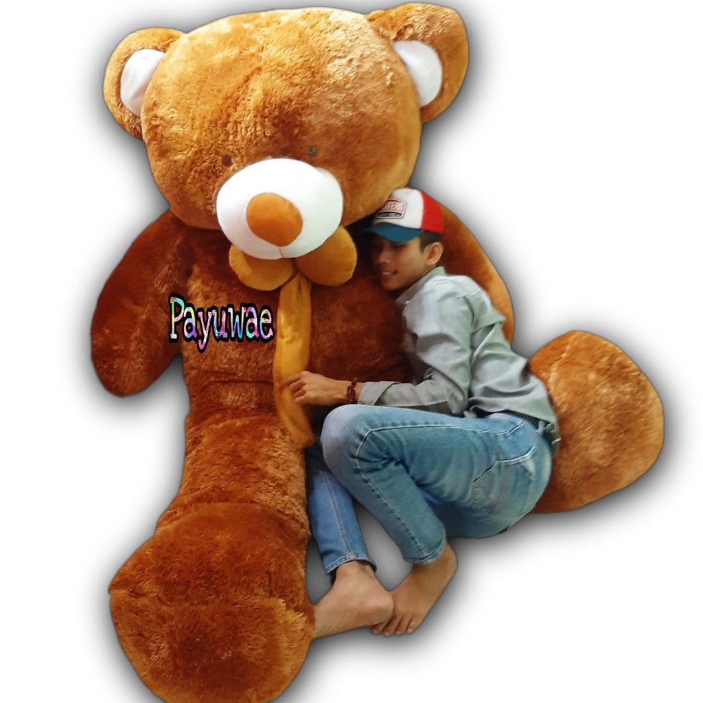 teddy bear paling besar