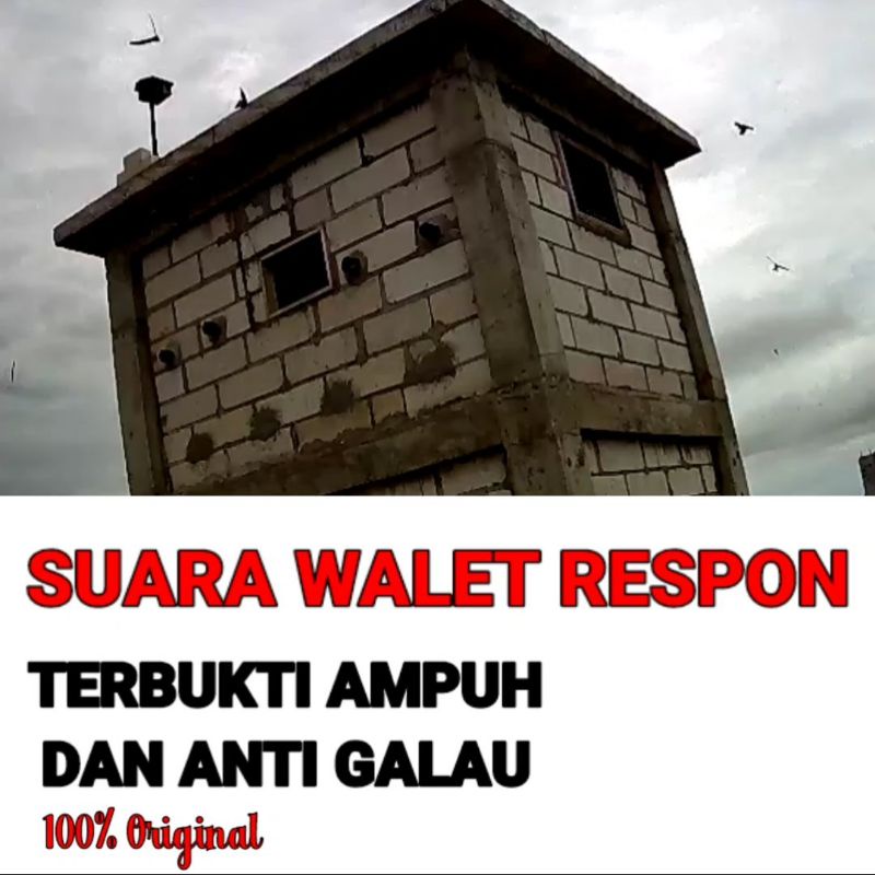 Jual Suara Panggil Walet (Gratis Ebook Panduan) Shopee Indonesia