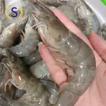 Udang Fresh Vanamei Size 30 Shrimp Lumayan Besar Montok Gendut