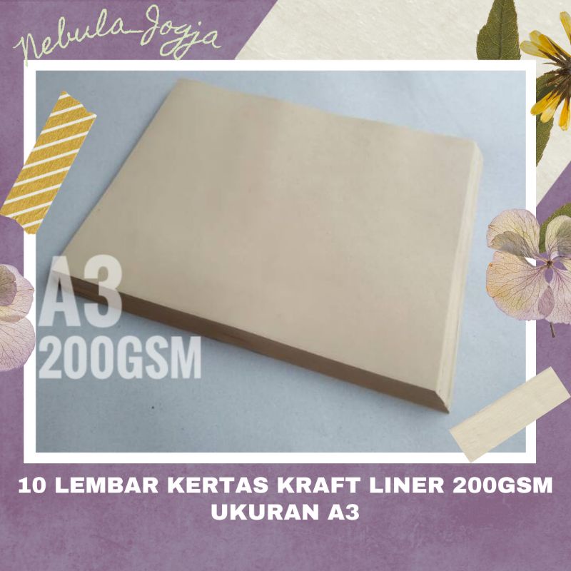 Jual 10 Lembar Kertas Samson Kraft 200gsm Ukuran A3/ Kertas Bahan ...