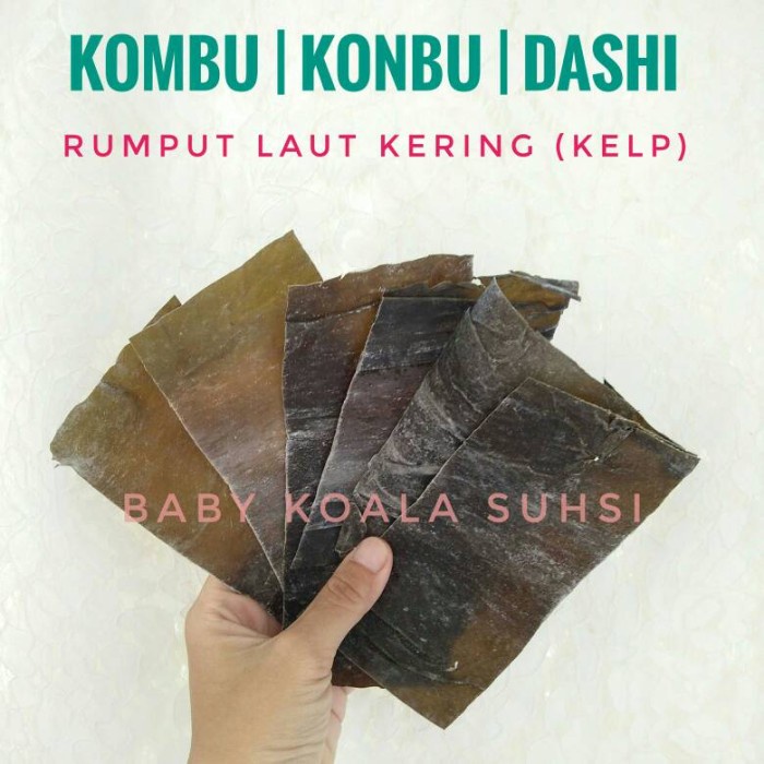 Jual ufd6021 Kombu | Konbu | Dashima | Kelp | Rumput Laut Kaldu | Dry ...