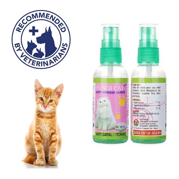 Jual Fungi Cat Spray 60ml Obat Kulit Anti Jamur Gatal Kucing Cat Kitten