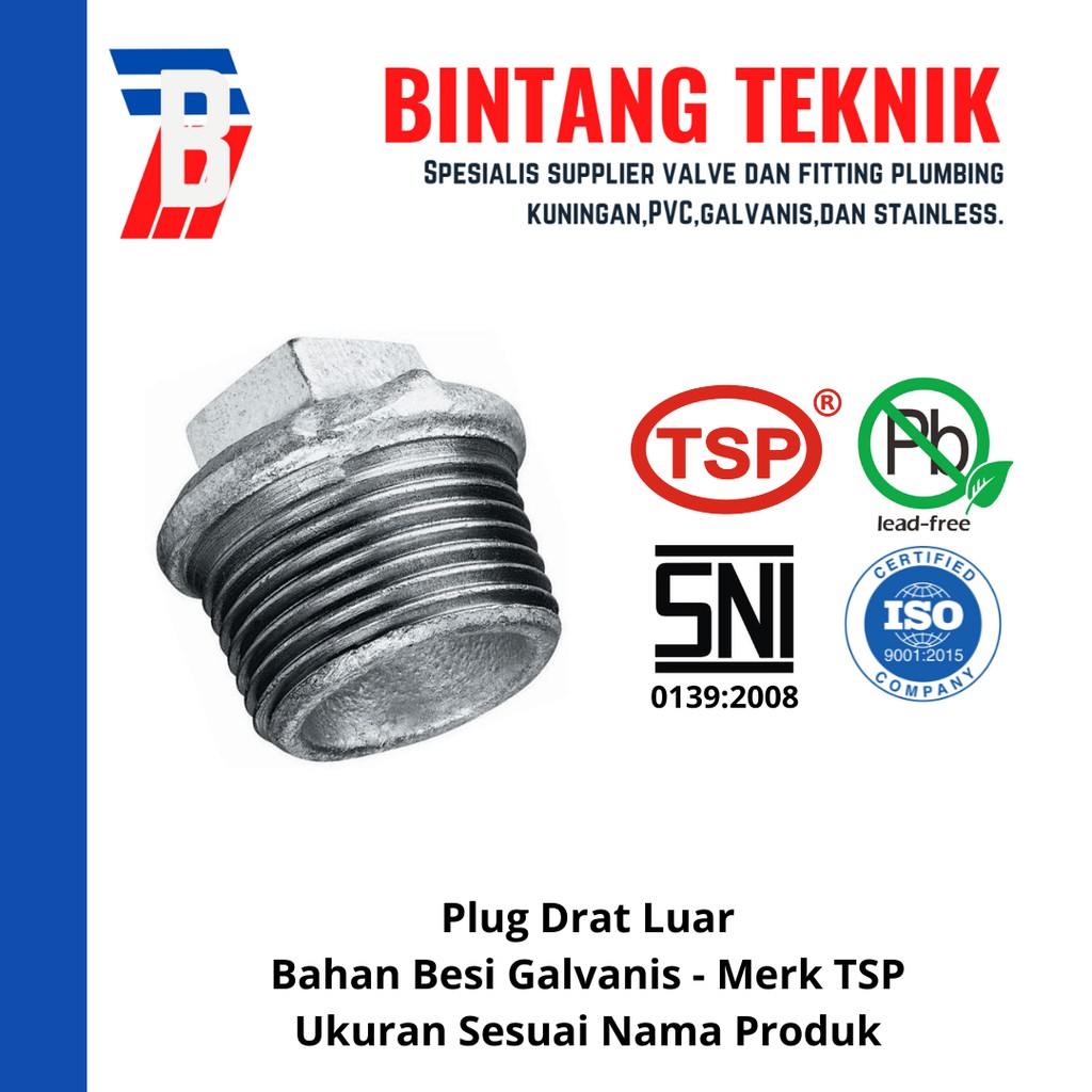 Jual Plug 2