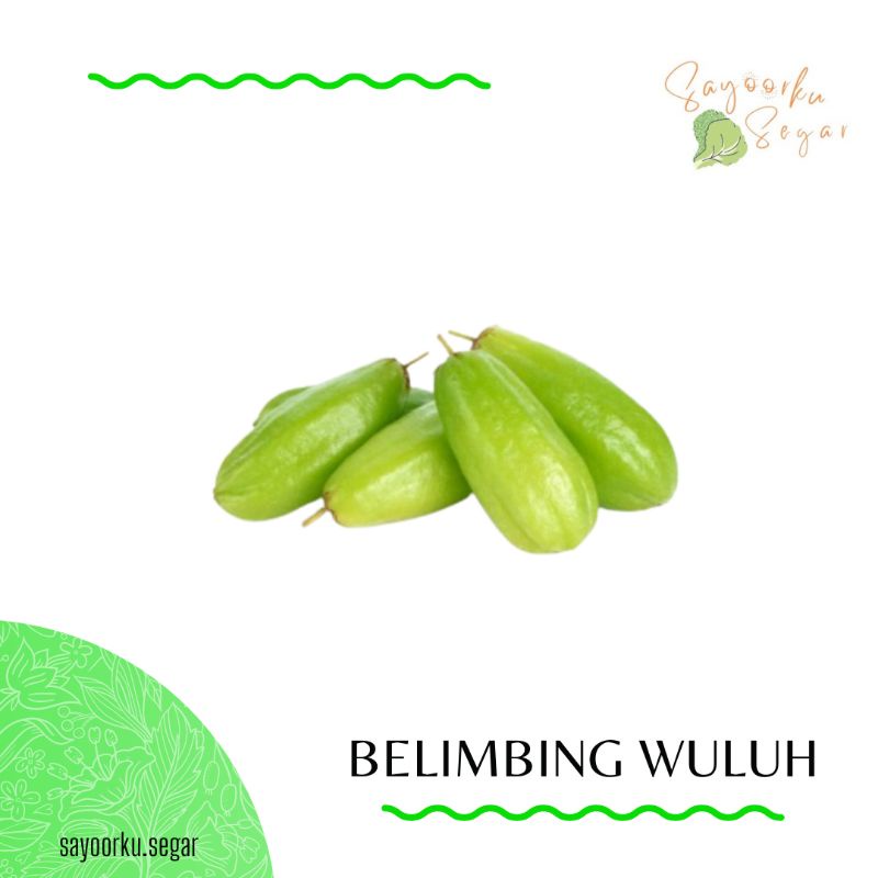 Jual Blimbing wuluh / belimbing sayur 1 pack | Shopee Indonesia