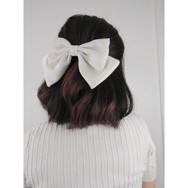 Jual JEPIT RAMBUT PITA BESAR MODEL ALA KOREA | Shopee Indonesia
