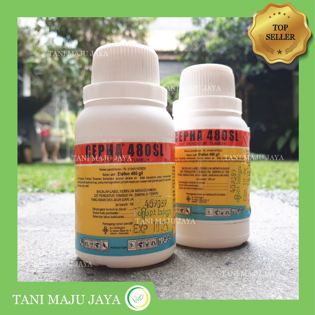 Jual Zat Pengatur Tumbuh (ZPT) Cepha 480SL 100 Ml | Shopee Indonesia