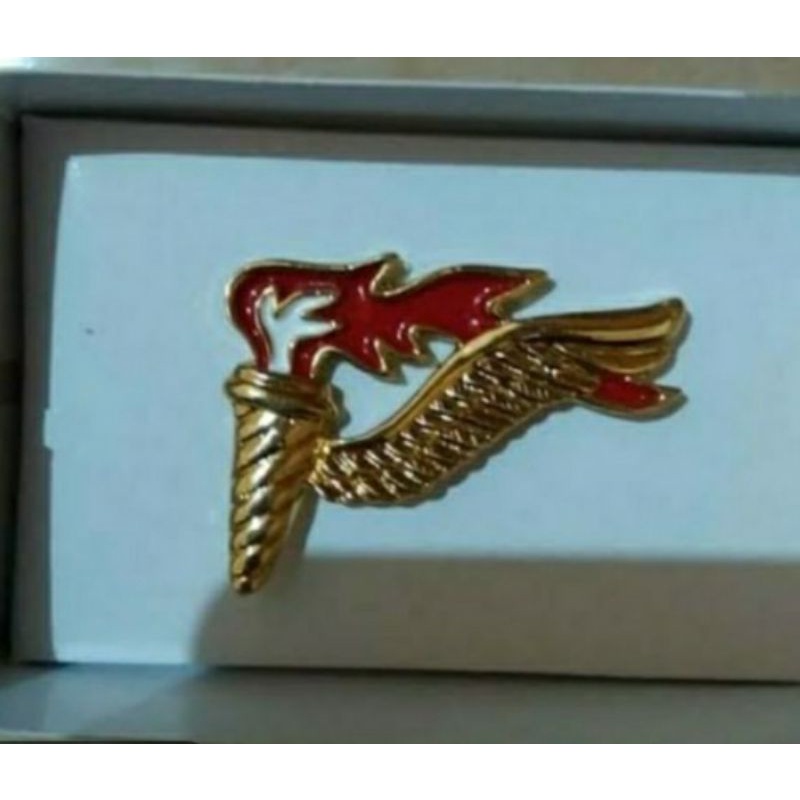 Jual Wing PDH PANDU /brevet pdh pandu udara | Shopee Indonesia