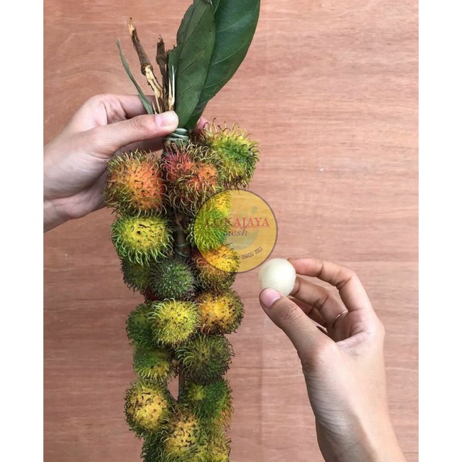 Jual RAMBUTAN RAPIAH/ CIPELAT PER IKAT KHUSUS JABODETABEK | Shopee ...