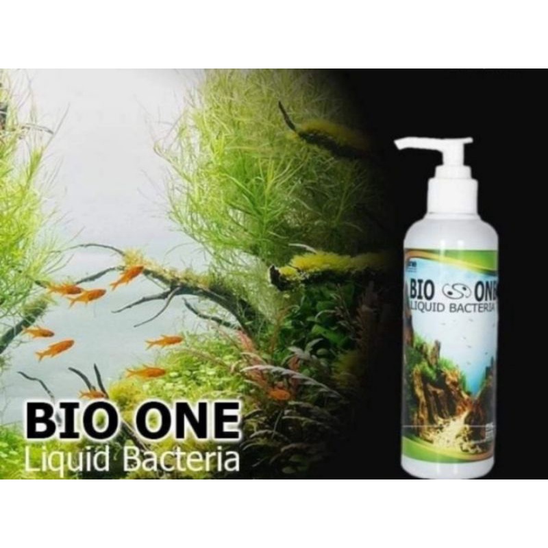 Jual BIO ONE LIQUID BACTERIA STARTER 250ml ONE RISET AQUARIUM AQUASCAPE ...