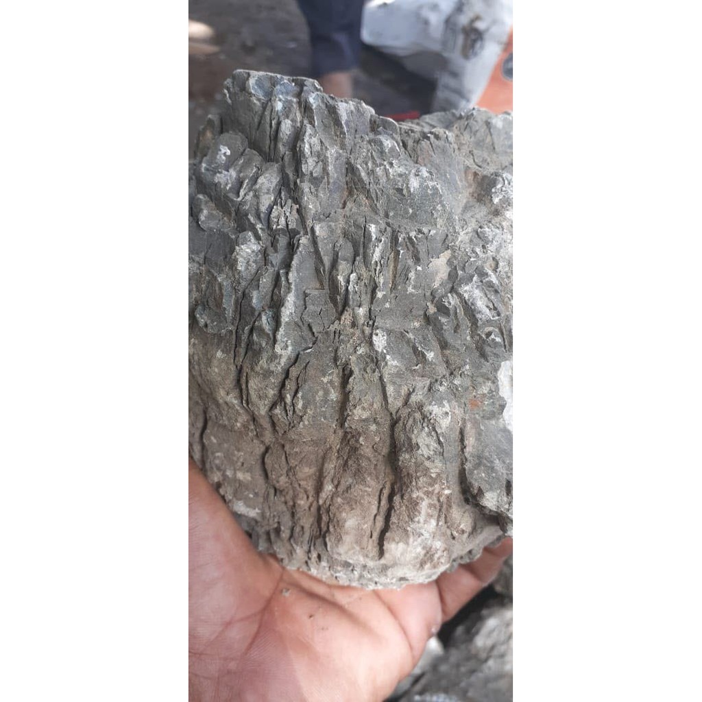 Jual Batu Aquascape - Batu Turly / Turli | Shopee Indonesia