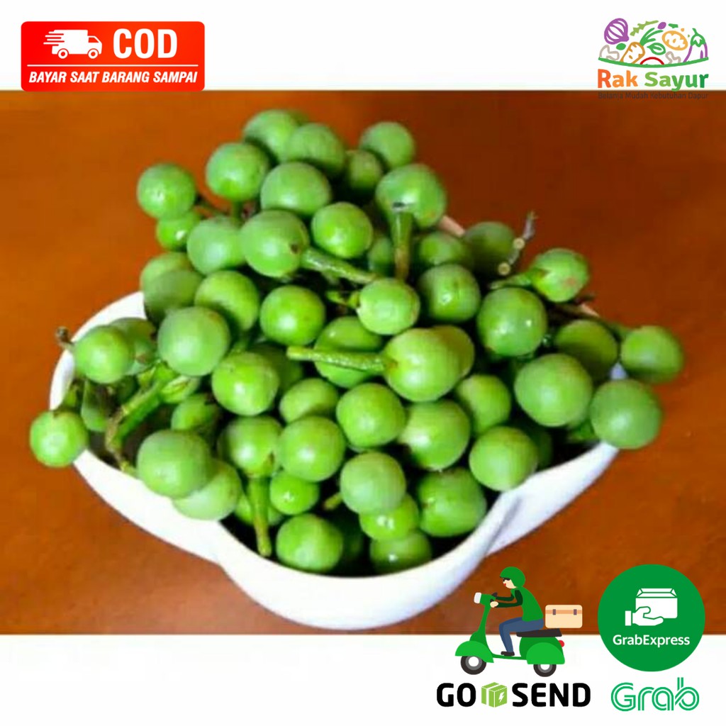 Jual Buah Rimbang Solanin Leunca Takokak 250gr Sayuran Segar Rak Sayur ...