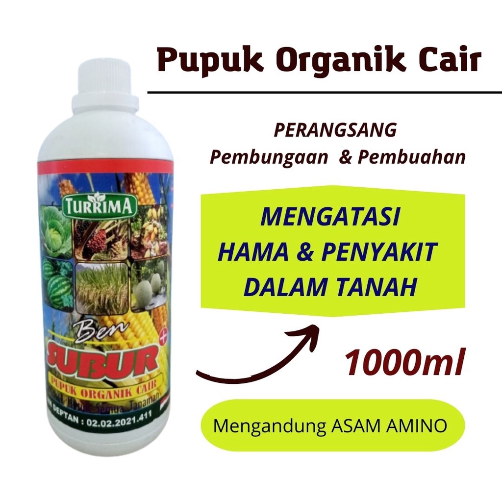 Jual Pupuk Cair Organik BEN SUBUR, Pupuk Organik Cair Atasi Penyakit ...