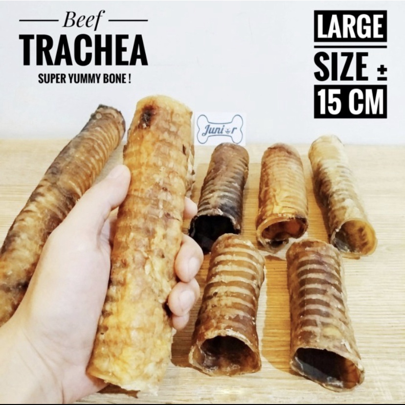 Jual Beef Trachea Dog Snack / Snack Makanan Anjing / Trakea Sapi ...