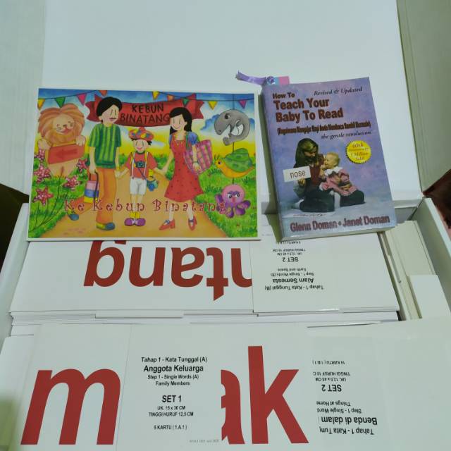 Right Brain 3 Types Of Glenn Doman Flash Cards To Buy vrogue.co