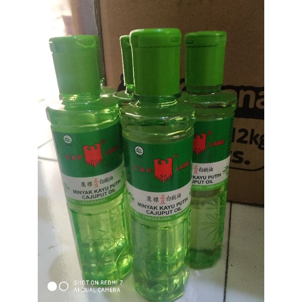 Jual CAPLANG MINYAK KAYU PUTIH 120ml | Shopee Indonesia