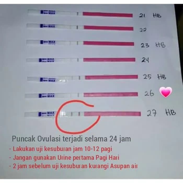 Jual Alat Tes Kesuburan Ovutest Ovulation Test Strip Diagnosa Kesuburan