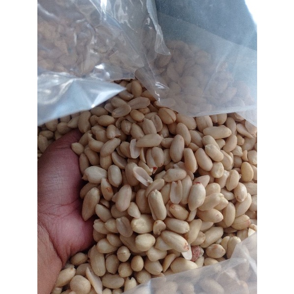 Jual Kacang Tanah Kupas Kacang Bali Mentah Ukuran Besar Shopee Indonesia