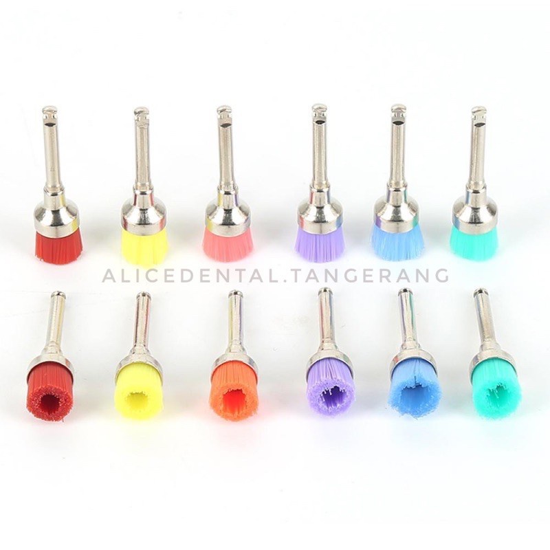 Jual Dental bur prophy brush nylon besar profilaksis nilon sikat gigi