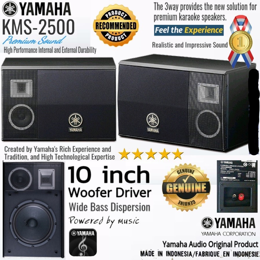 Amplificateur Hifi Stéréo KSM 5 Avec Fonction Karaoké - Occasion