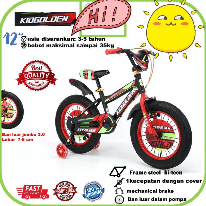 Jual Sepeda Anak BMX 12