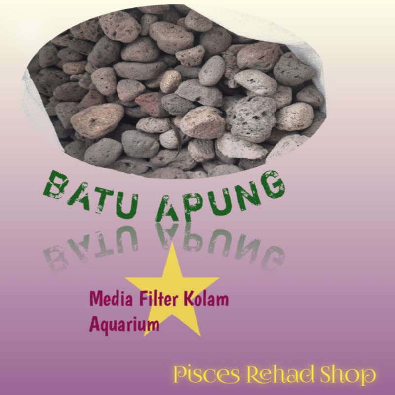 Jual BATU APUNG BATU PUMICE MEDIA FILTER RUMAH BACTERIA | Shopee Indonesia