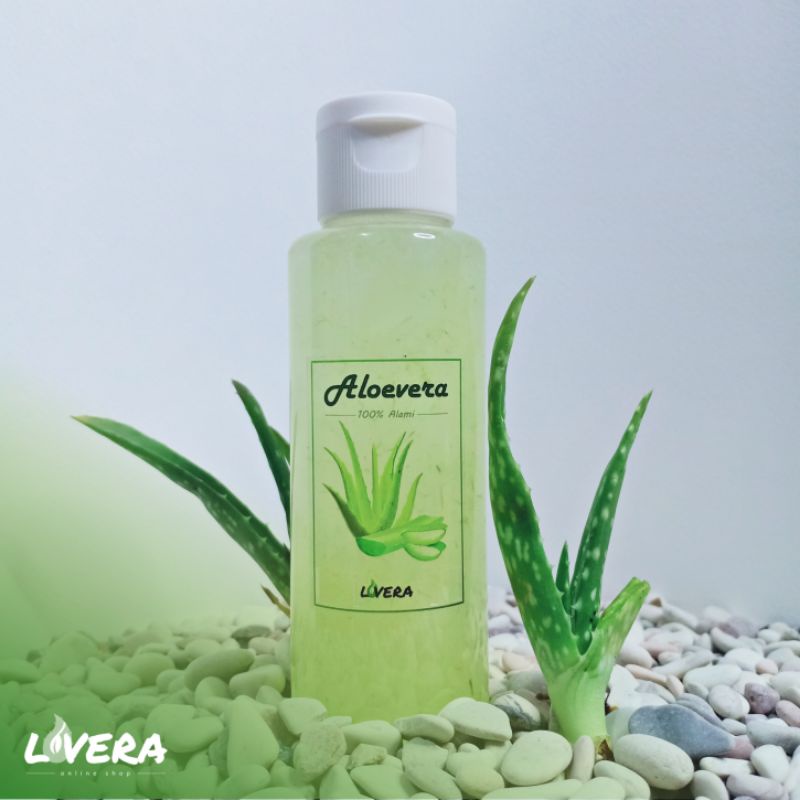 Jual 500gram Lidah Buaya Kupas / Aloevera Alami | Shopee Indonesia