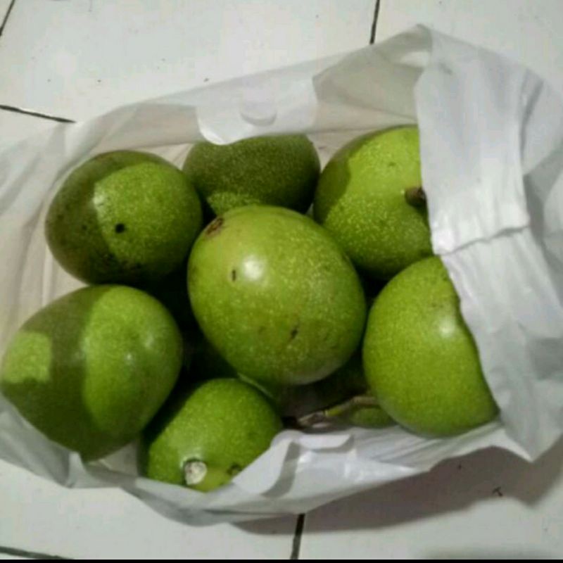 Jual Buah Bintaro Pengusir Tikus 1kg Shopee Indonesia