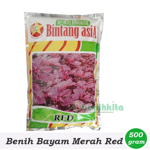 Jual Benih-Bibit Bayam Merah Red 500gr (Bintang Asia) | Shopee Indonesia