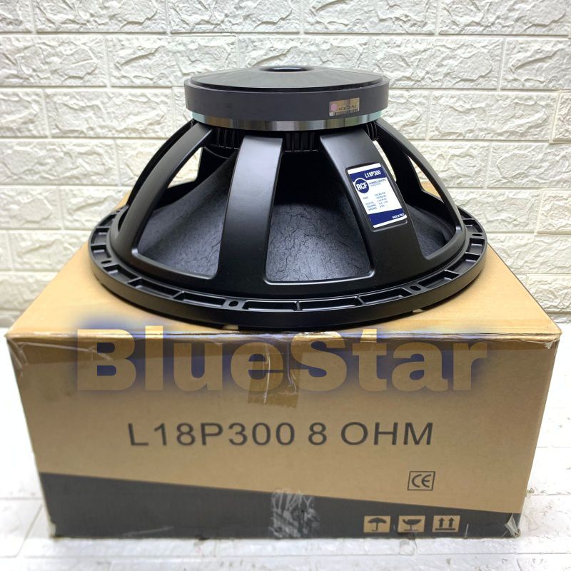 Fashion box speaker rcf p300