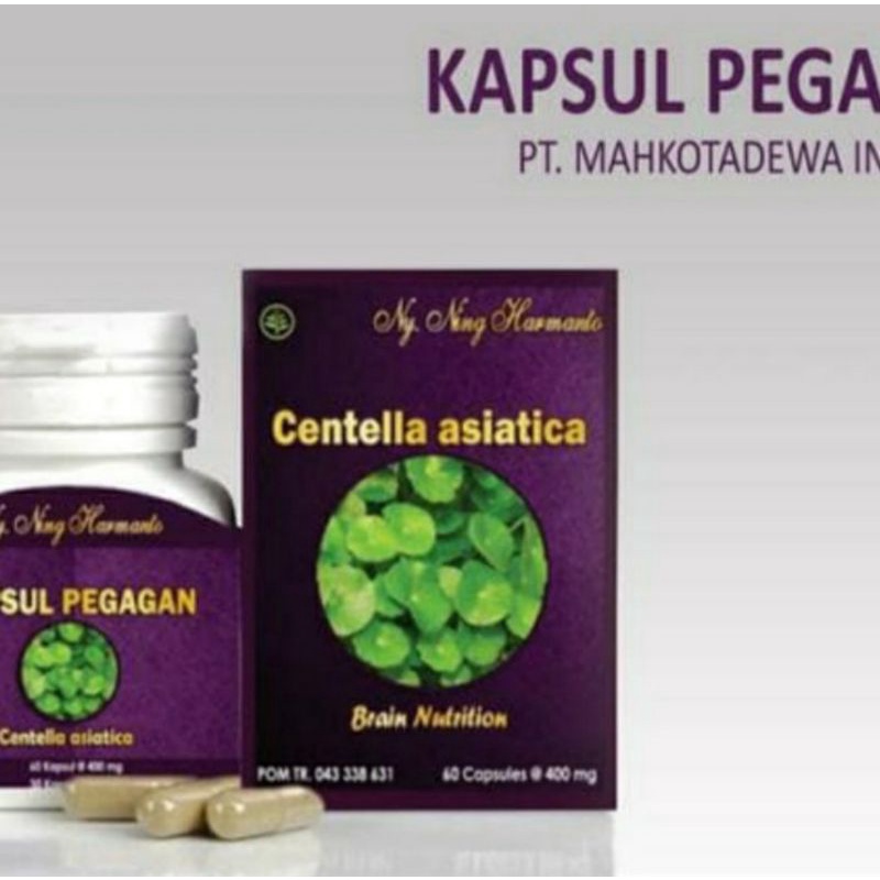 Jual Pegagan Herbal Ekstrak Kapsul Menambah Daya Ingat Revitalisasi Sel