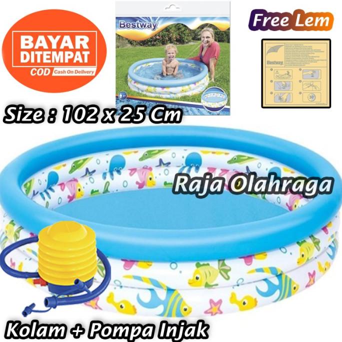 Jual Bestway 51008 Kolam Renang Anak Mandi Bola [102 X 25cm ] - Ocean ...