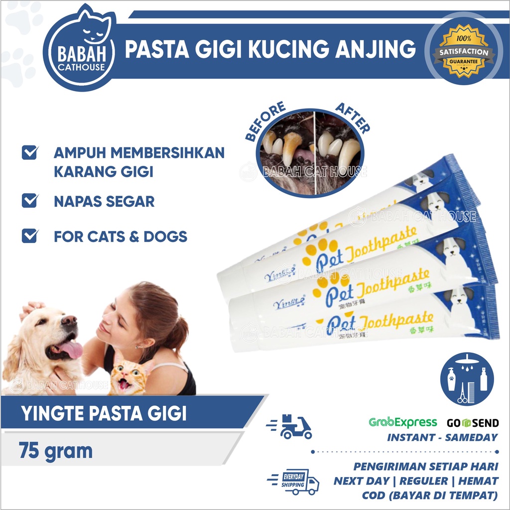 Jual YINGTE Pasta Gigi Kucing Anjing Penghilang Bau Mulut Odol Murah