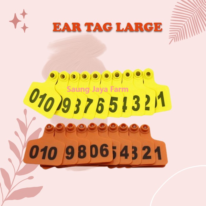 Jual Ear Tag Eartag Kambing Domba Sapi Ukuiran 6x7 Anting Identifikasi ...