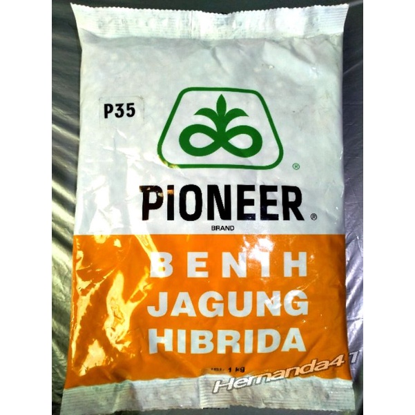 Jual Benih Jagung Hibrida Pioneer P35 Banteng 1Kg Tahan Bulai | Shopee ...