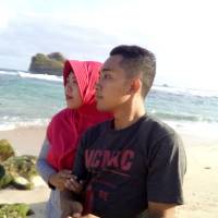 Kuaci Biji Bunga Matahari