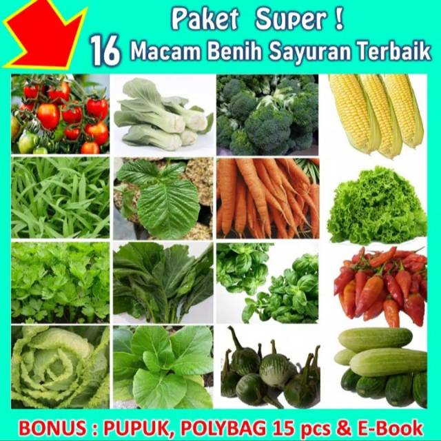 Jual PAKET LENGKAP BERKEBUN (16 BENIH SAYUR PILIHAN) | Shopee Indonesia